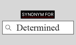Determined-Synonyms-01
