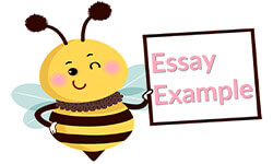 Essay-Example-01