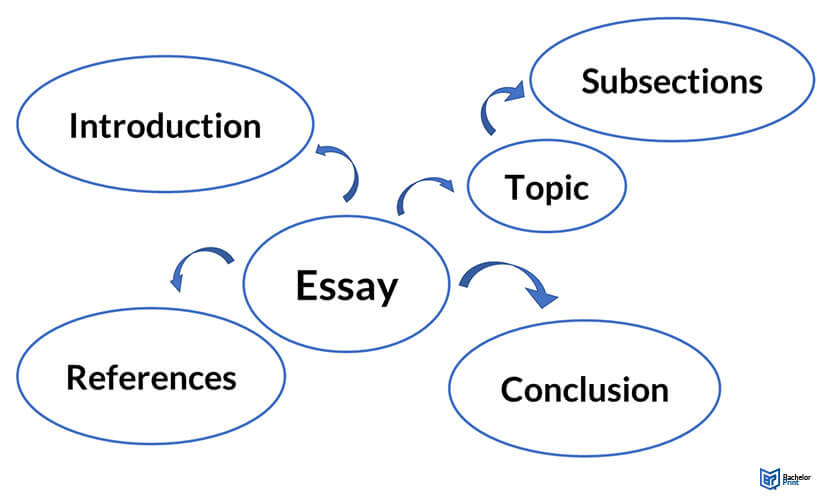 Essay-Outline-organizing-your-material