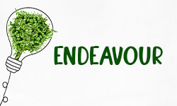 Endeavour-01