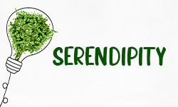 Serendipity-01